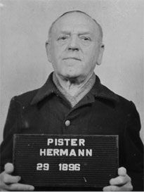 Herman Pister